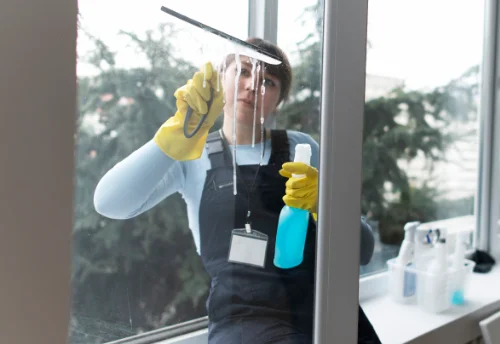 Nettoyage de vitres intérieures et extérieures à Bèze
